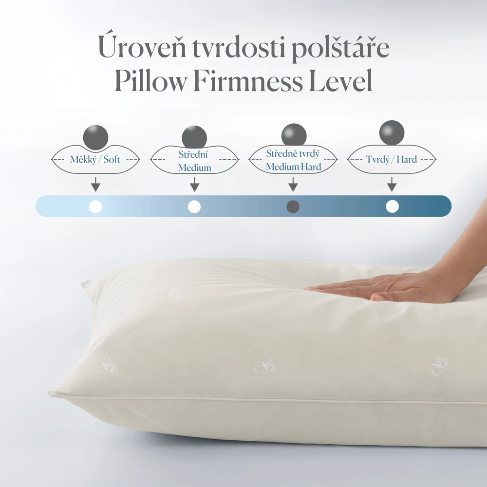 Morby Pillow, Cotton Filling, 50x70 cm